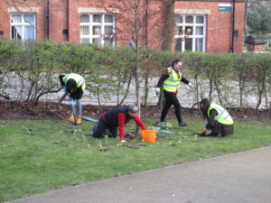 Volunteers planting bulbs near Charles Morris