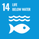 United Nation Sustainable Development Goal 14: Life Below Water
