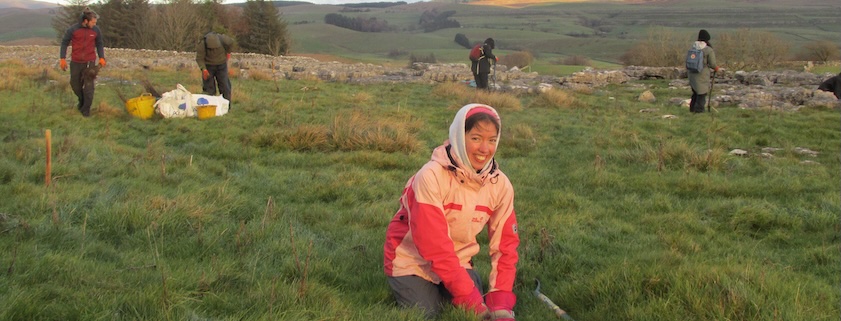 Volunteers at the Wild Ingleborough Project 2023