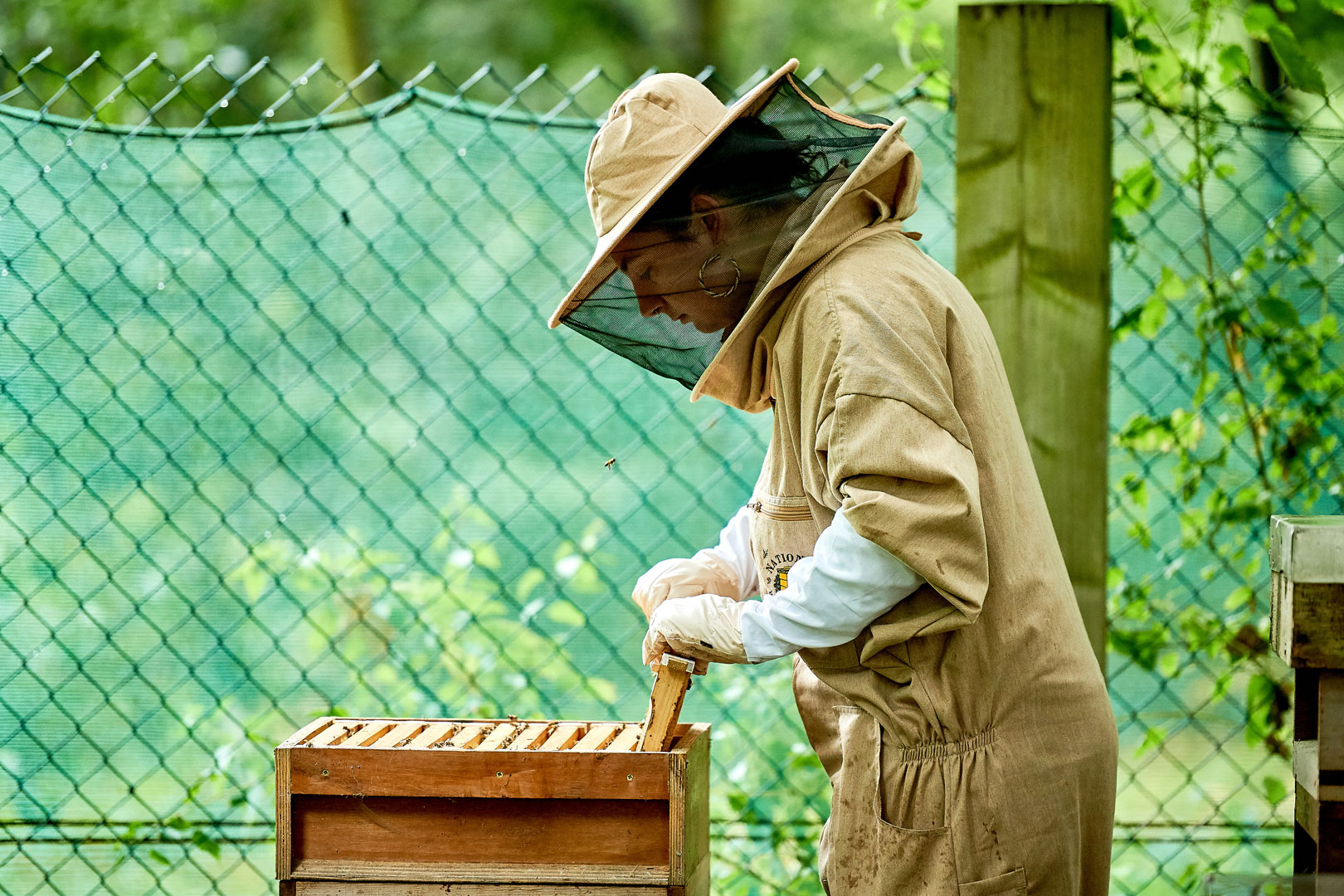 Beekeeper